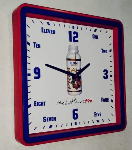 FB_IMG_1715668999950